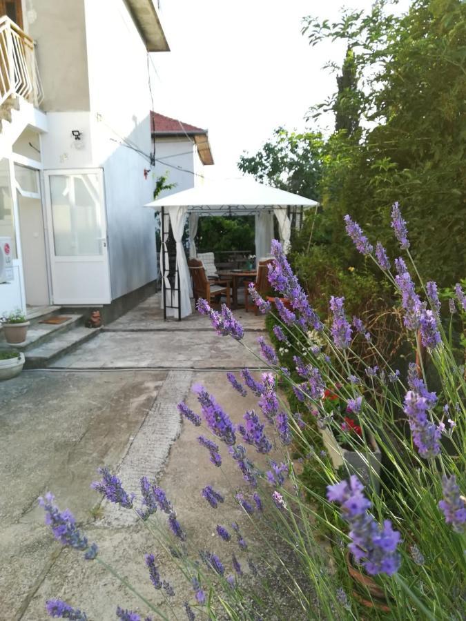 Lili Apartment In Zadar Pet Friendly, Free Parking Luaran gambar